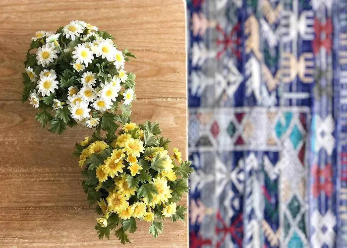 Appartement Vivendos - Tr02 - Palma