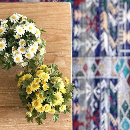 Appartement Vivendos - Tr02 - Palma